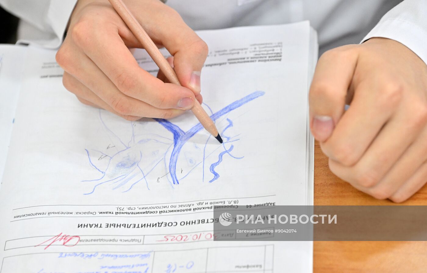 Обучение студентов Пироговском университете