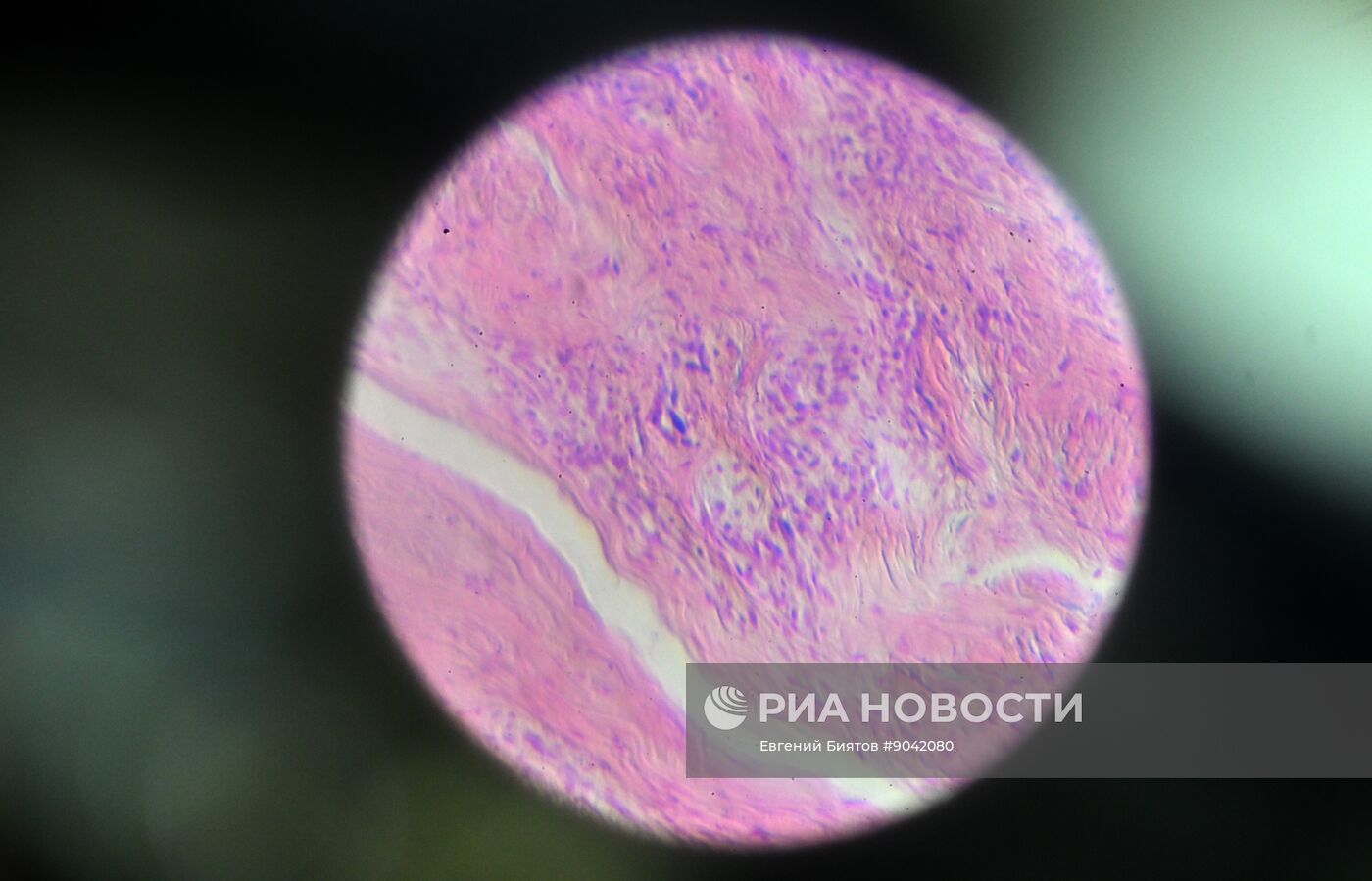 Обучение студентов Пироговском университете