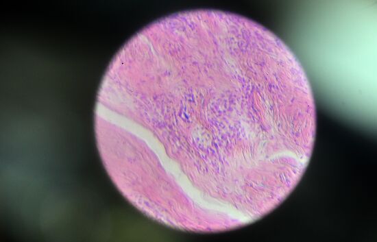 Обучение студентов Пироговском университете 