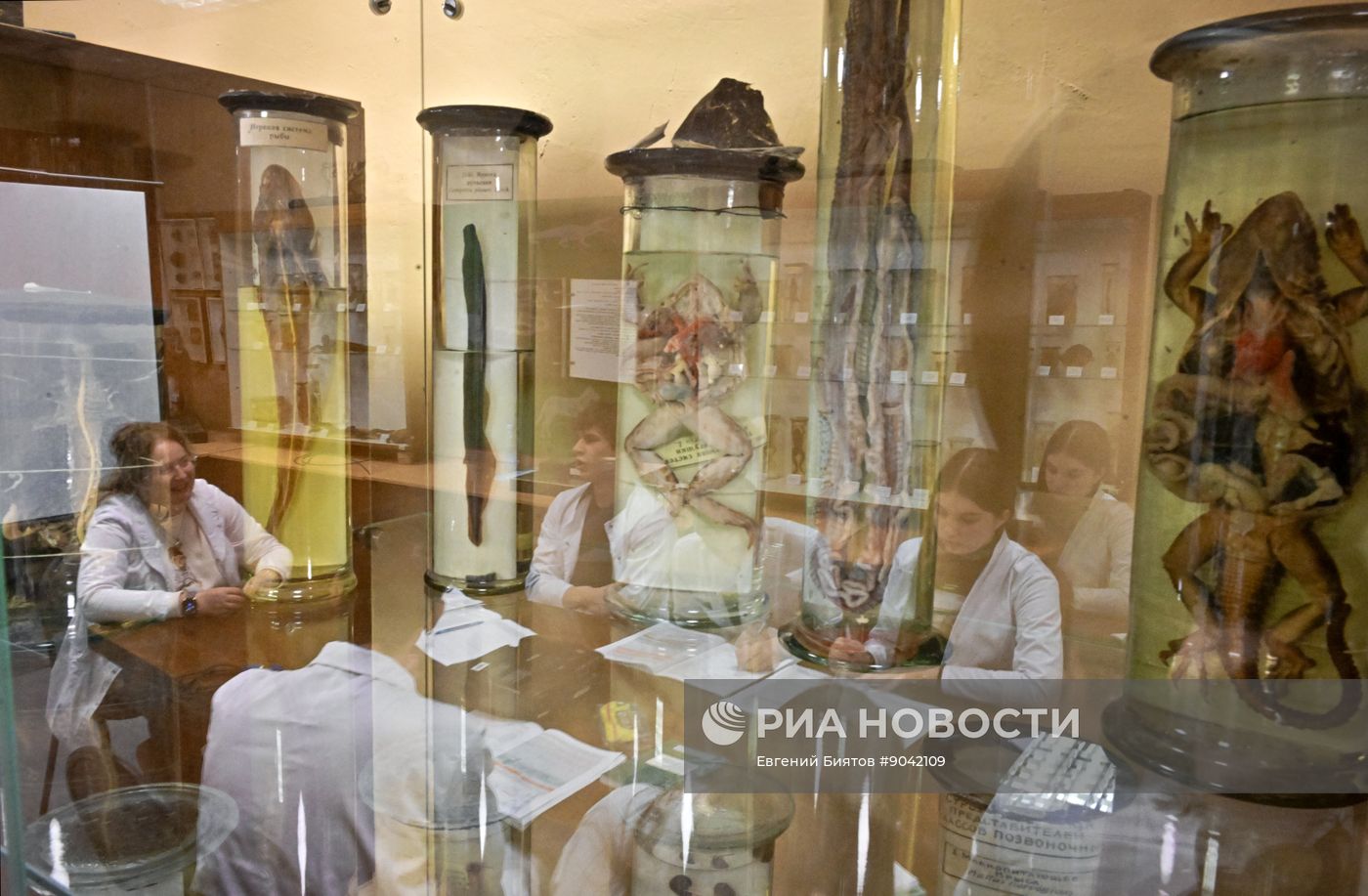 Обучение студентов Пироговском университете