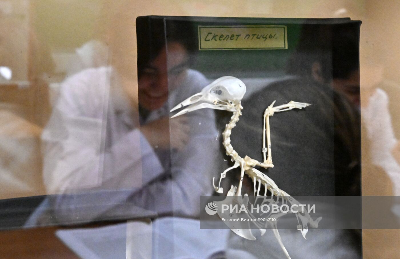 Обучение студентов Пироговском университете