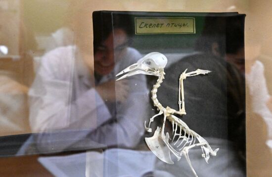 Обучение студентов Пироговском университете 