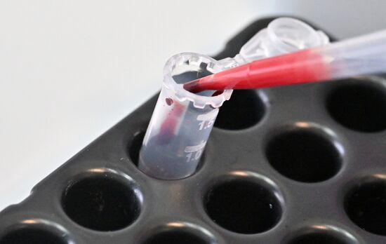 Обучение студентов Пироговском университете 