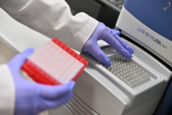 Обучение студентов Пироговском университете 