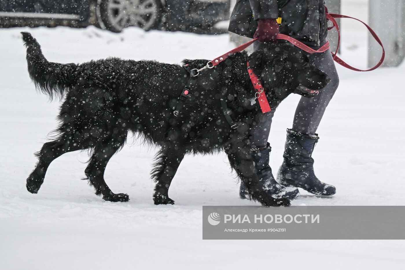 Снегопад в Новосибирске
