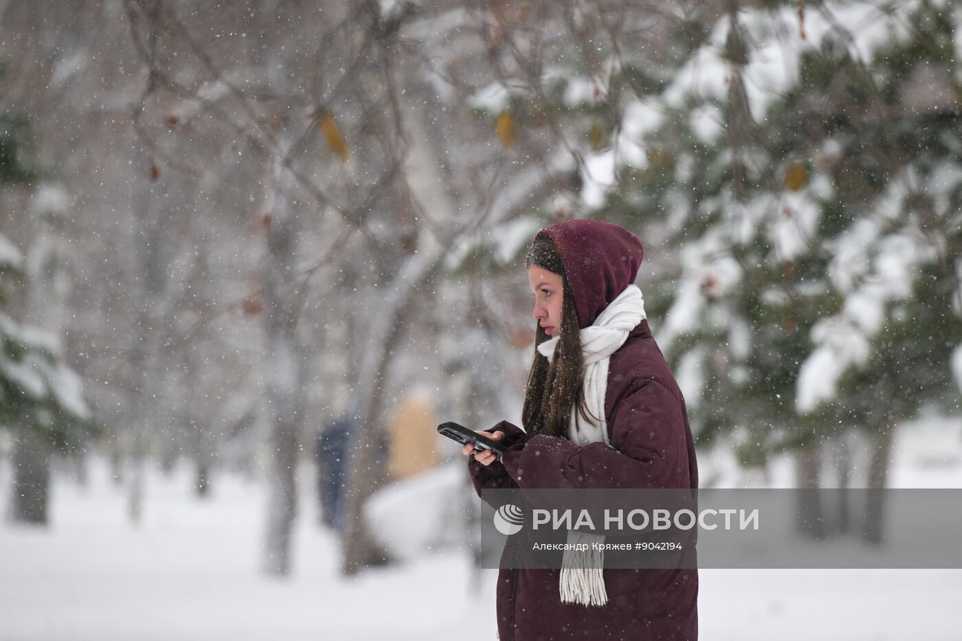 Снегопад в Новосибирске