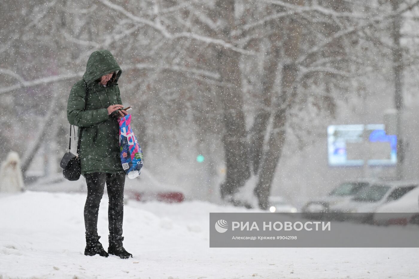 Снегопад в Новосибирске