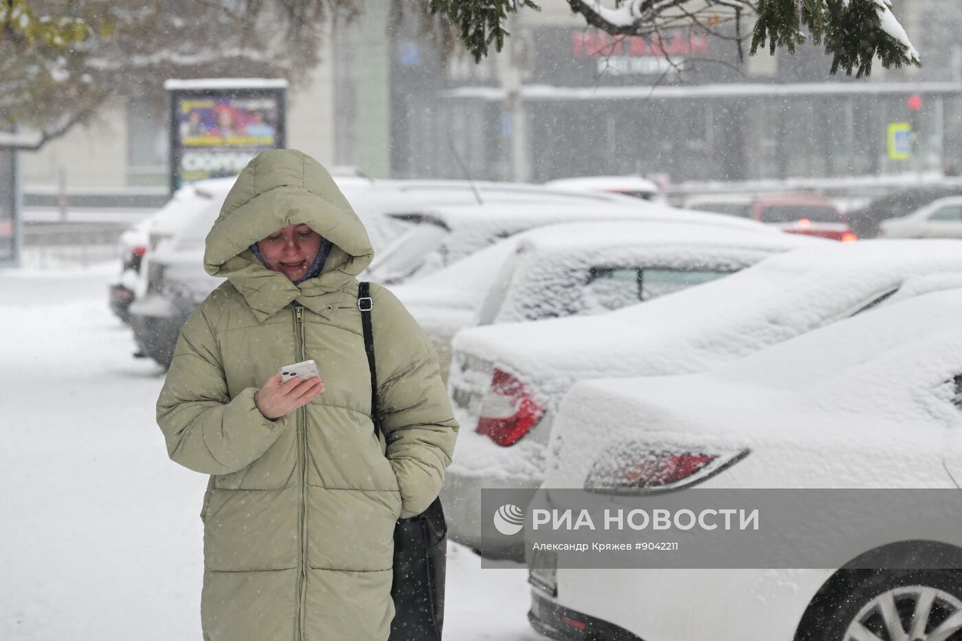 Снегопад в Новосибирске