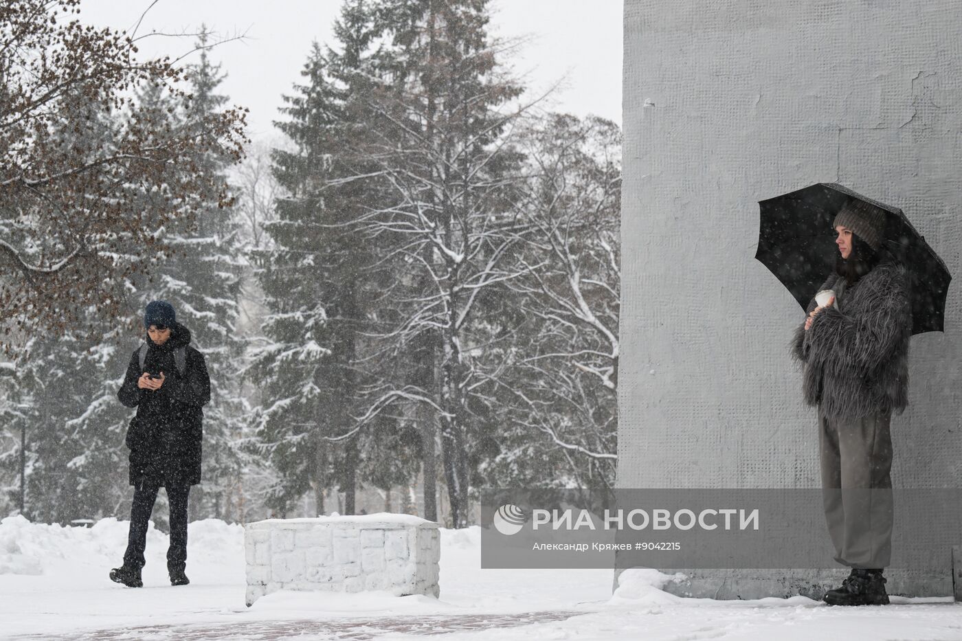 Снегопад в Новосибирске
