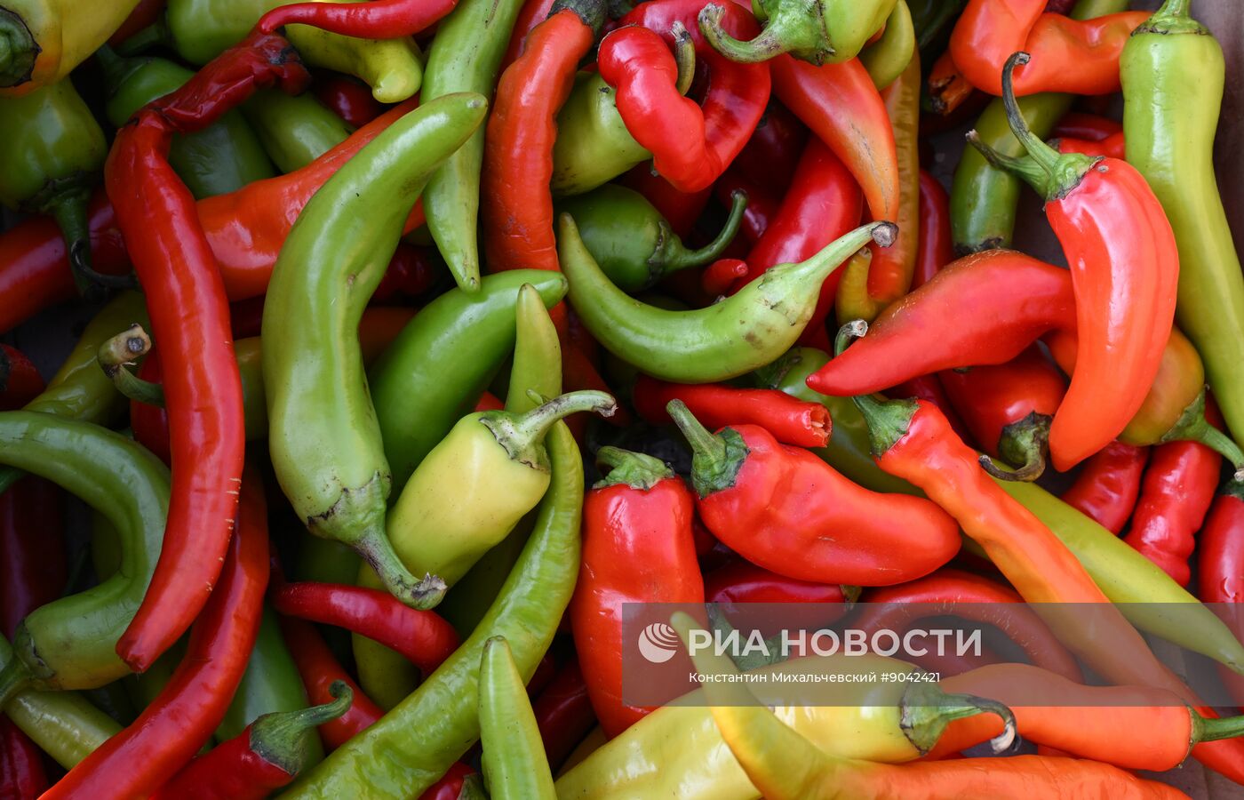 Сельскохозяйственная ярмарка в Симферополе