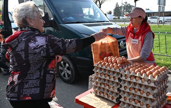 Сельскохозяйственная ярмарка в Симферополе
