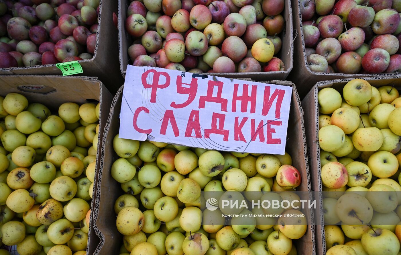 Сельскохозяйственная ярмарка в Симферополе