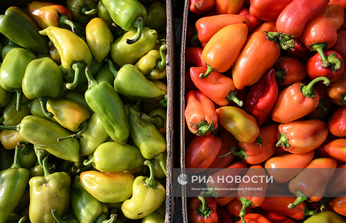 Сельскохозяйственная ярмарка в Симферополе