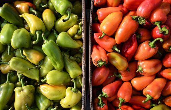 Сельскохозяйственная ярмарка в Симферополе