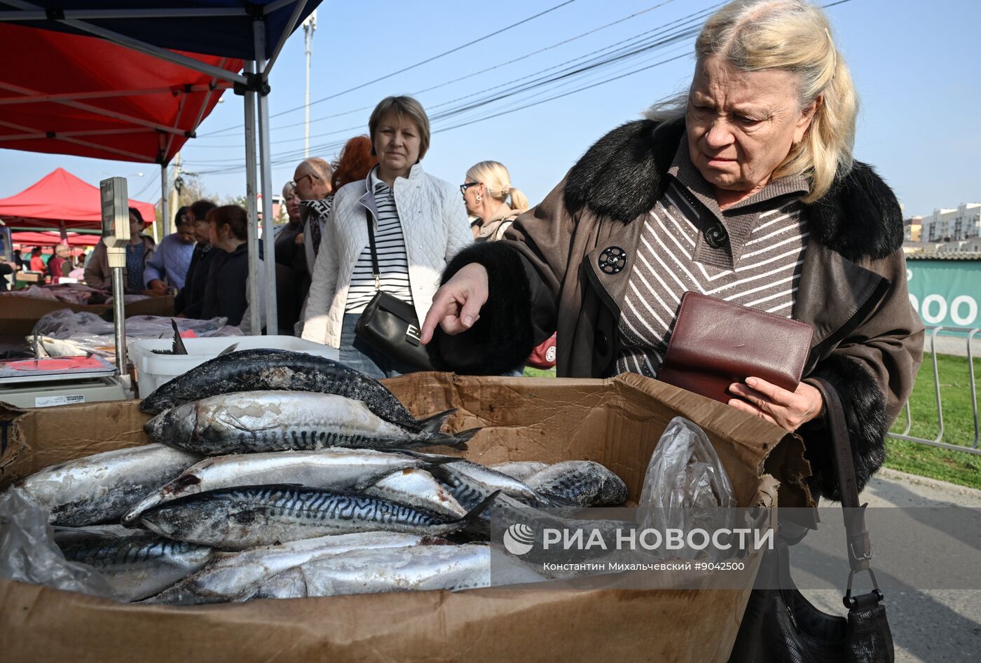 Сельскохозяйственная ярмарка в Симферополе