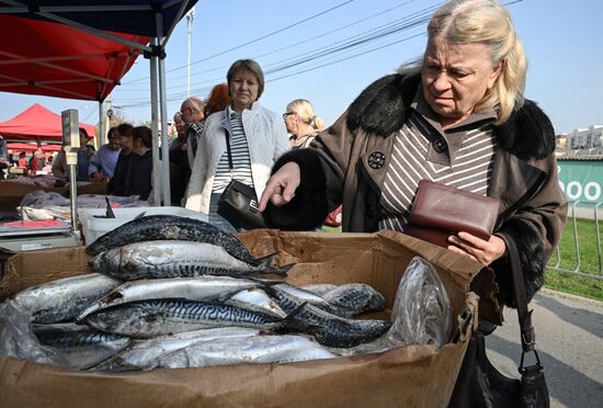 Сельскохозяйственная ярмарка в Симферополе