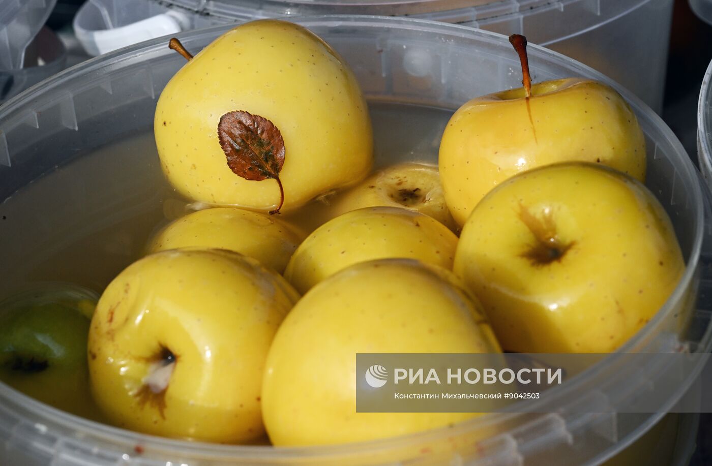 Сельскохозяйственная ярмарка в Симферополе