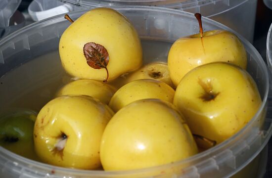 Сельскохозяйственная ярмарка в Симферополе