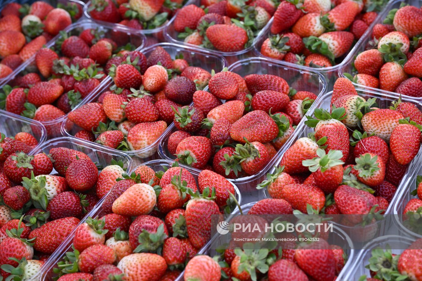 Сельскохозяйственная ярмарка в Симферополе