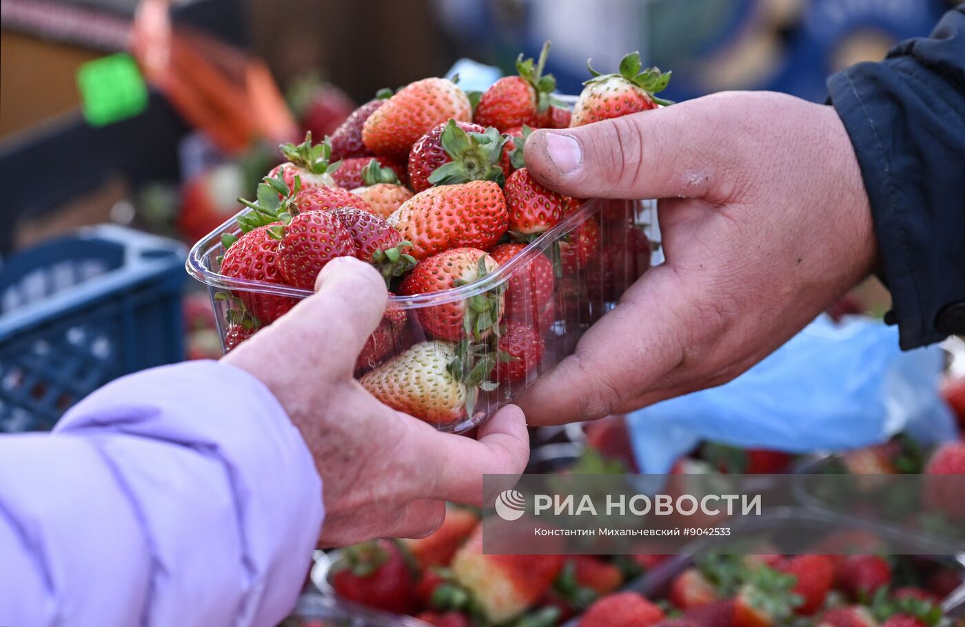 Сельскохозяйственная ярмарка в Симферополе