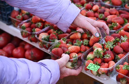 Сельскохозяйственная ярмарка в Симферополе