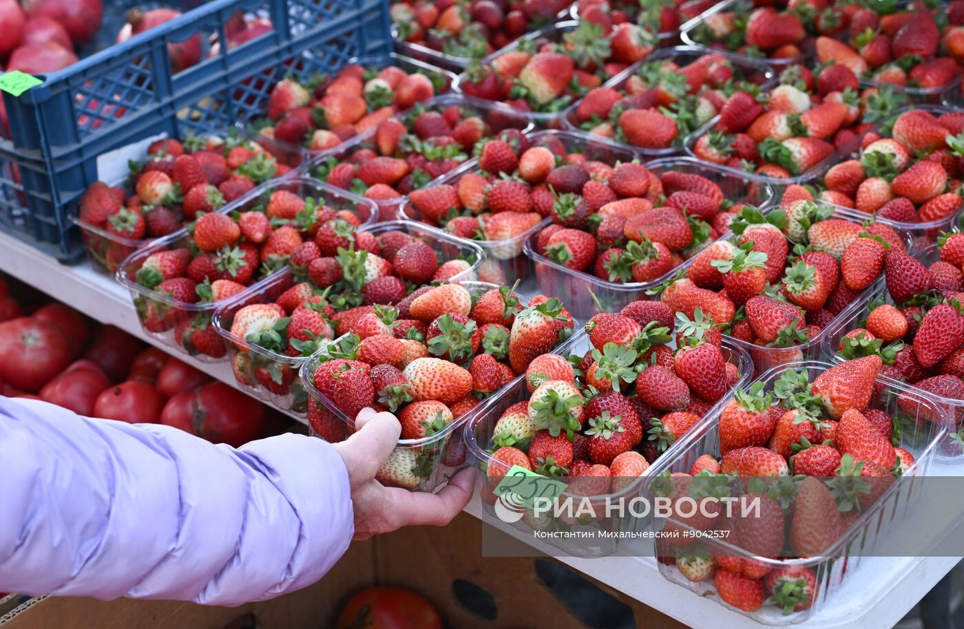 Сельскохозяйственная ярмарка в Симферополе