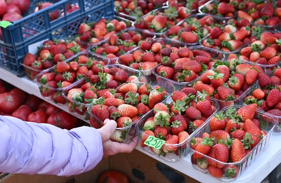 Сельскохозяйственная ярмарка в Симферополе