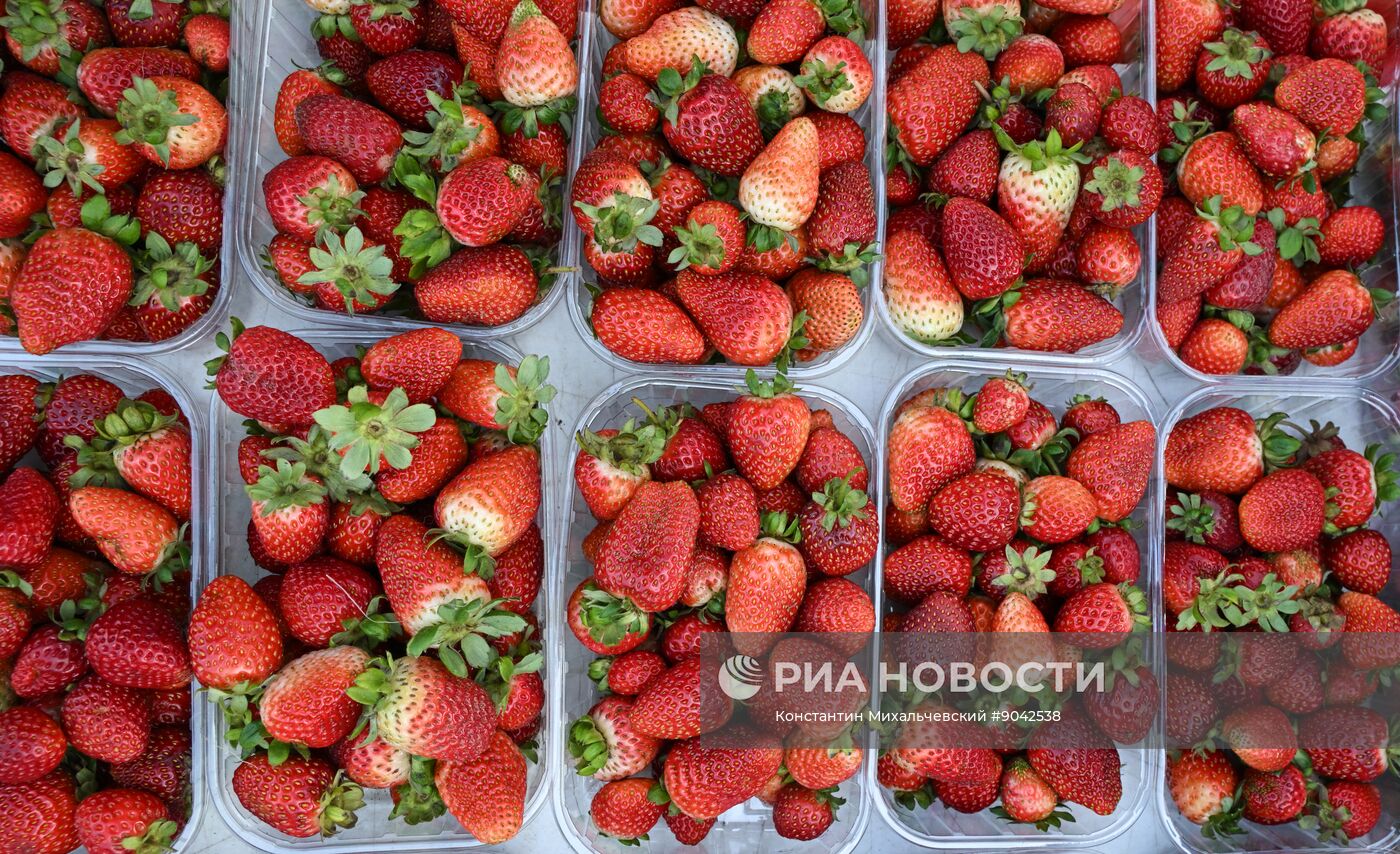 Сельскохозяйственная ярмарка в Симферополе