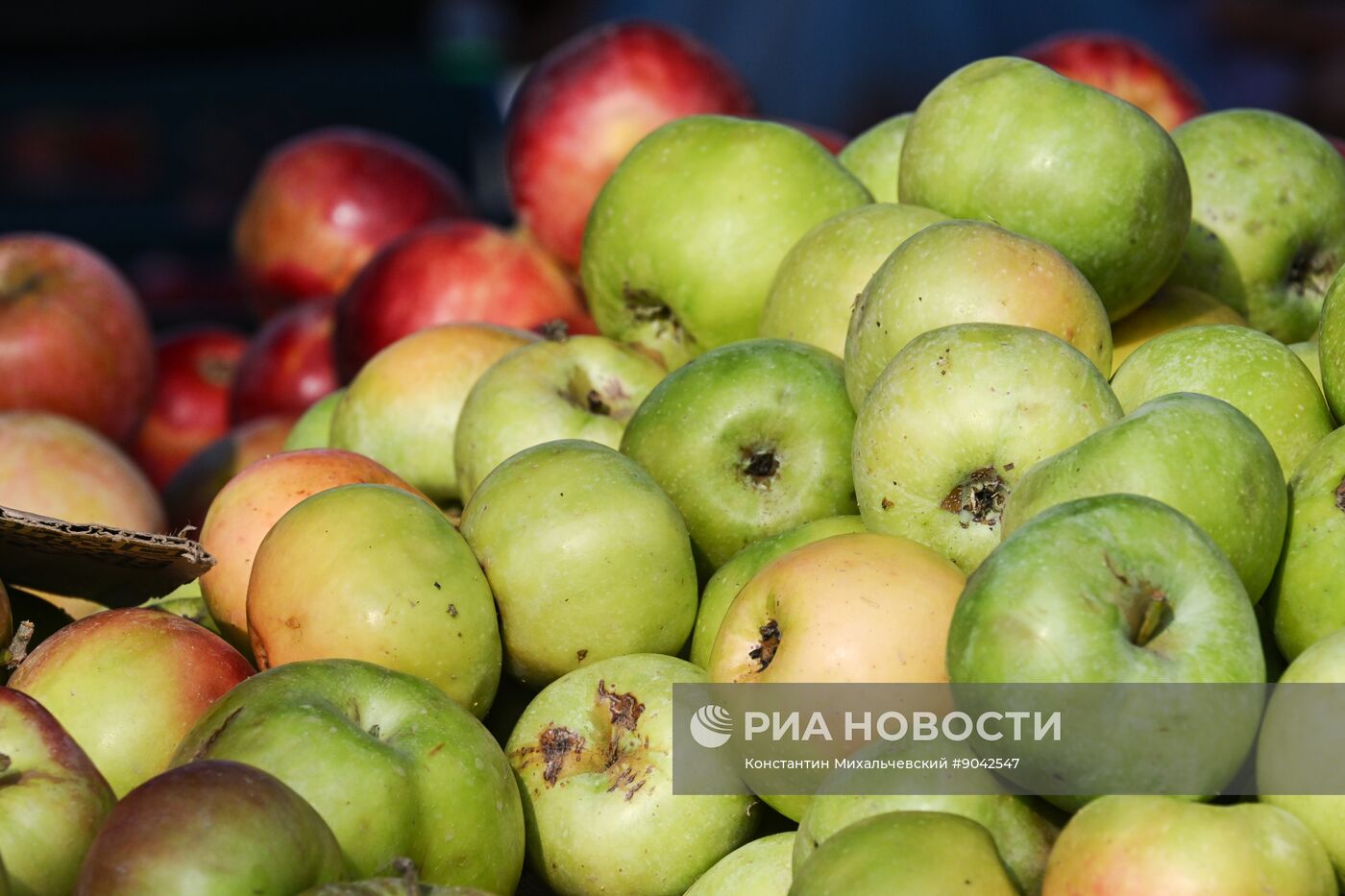 Сельскохозяйственная ярмарка в Симферополе