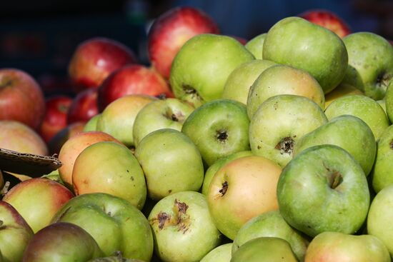 Сельскохозяйственная ярмарка в Симферополе