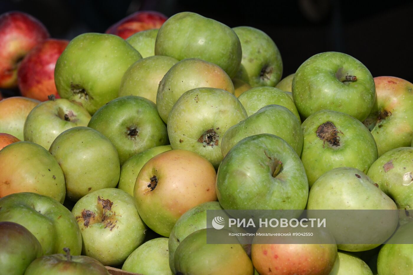 Сельскохозяйственная ярмарка в Симферополе