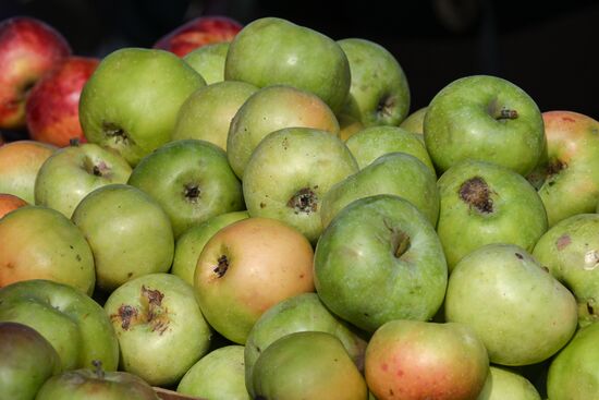 Сельскохозяйственная ярмарка в Симферополе