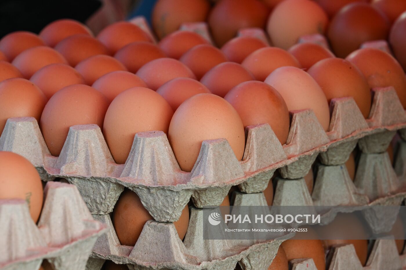 Сельскохозяйственная ярмарка в Симферополе