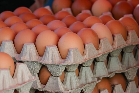 Сельскохозяйственная ярмарка в Симферополе