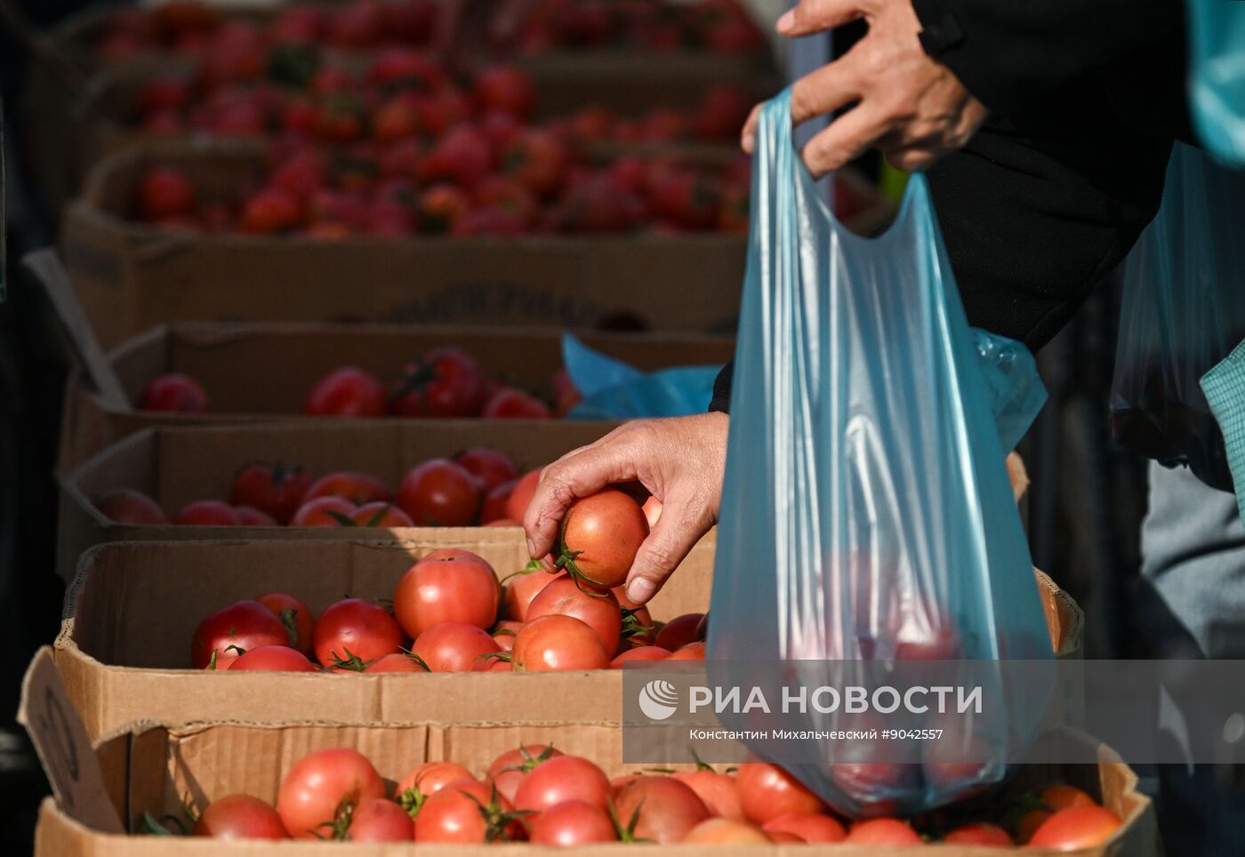 Сельскохозяйственная ярмарка в Симферополе