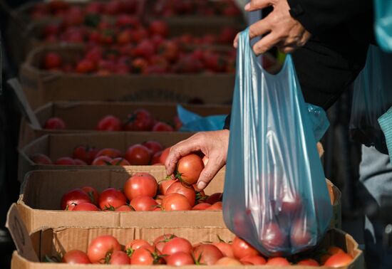 Сельскохозяйственная ярмарка в Симферополе