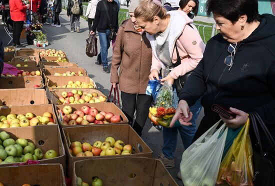 Сельскохозяйственная ярмарка в Симферополе