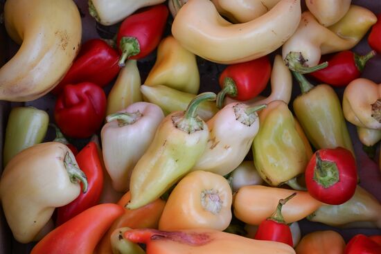 Сельскохозяйственная ярмарка в Симферополе