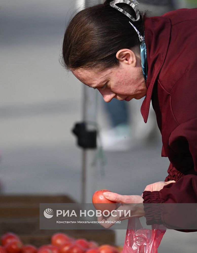 Сельскохозяйственная ярмарка в Симферополе