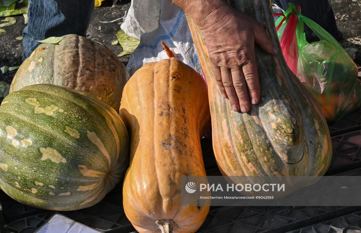 Сельскохозяйственная ярмарка в Симферополе