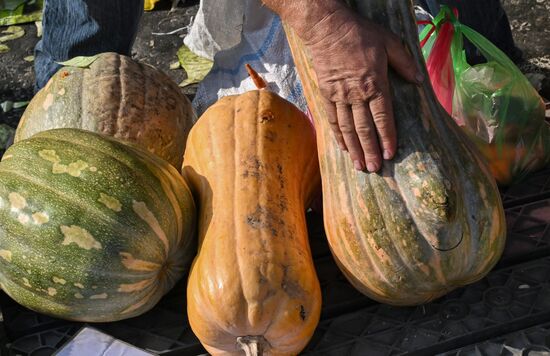 Сельскохозяйственная ярмарка в Симферополе