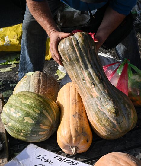 Сельскохозяйственная ярмарка в Симферополе