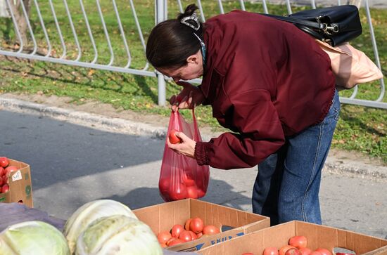 Сельскохозяйственная ярмарка в Симферополе