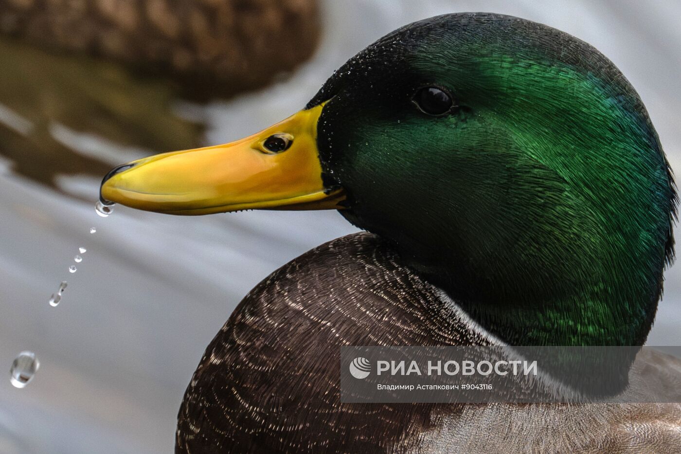 Повседневная жизнь в городах России