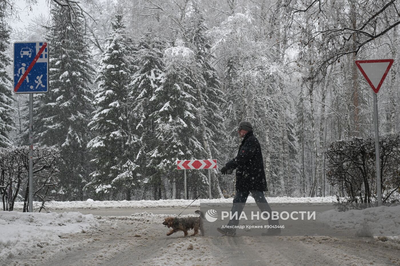 Снегопад в Новосибирске