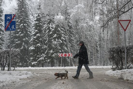 Снегопад в Новосибирске