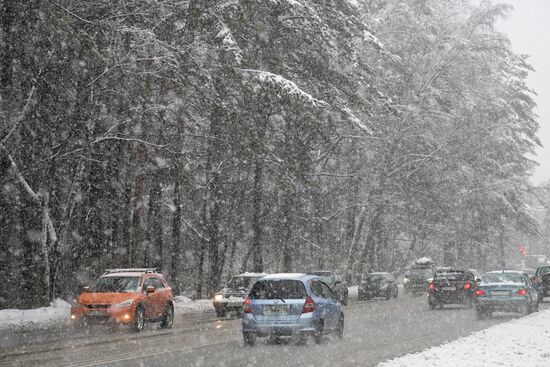 Снегопад в Новосибирске