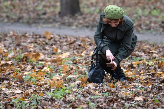 Повседневная жизнь в городах России
