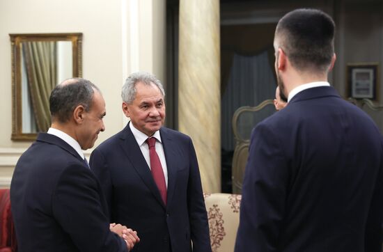 Визит секретаря Совбеза РФ Сергея Шойгу в Египет