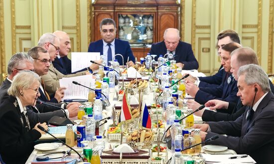 Визит секретаря Совбеза РФ Сергея Шойгу в Египет